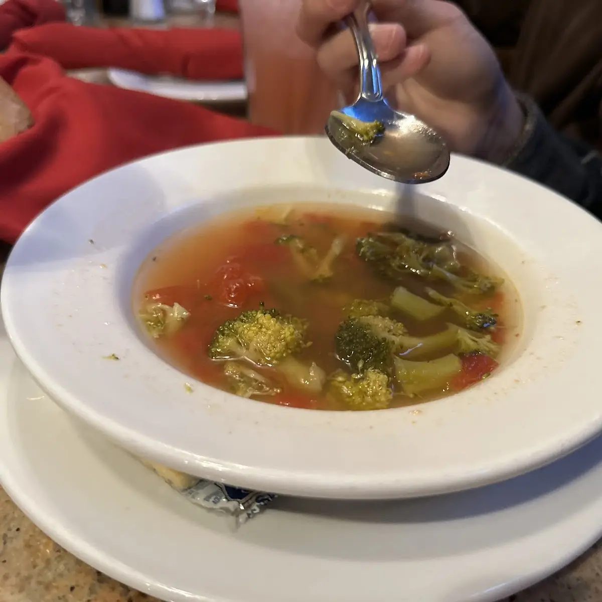 Vegetable Soup