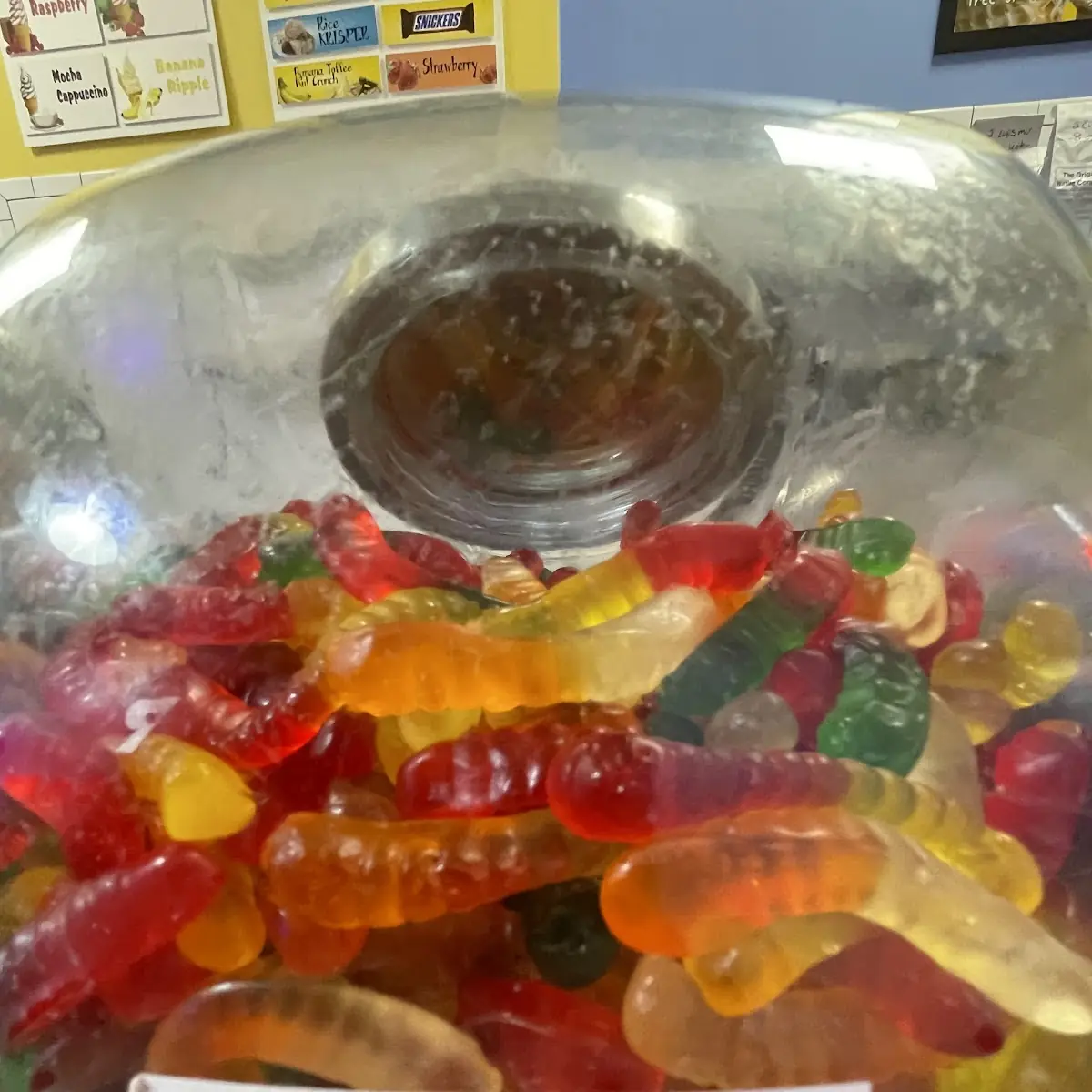 Gummy Bear