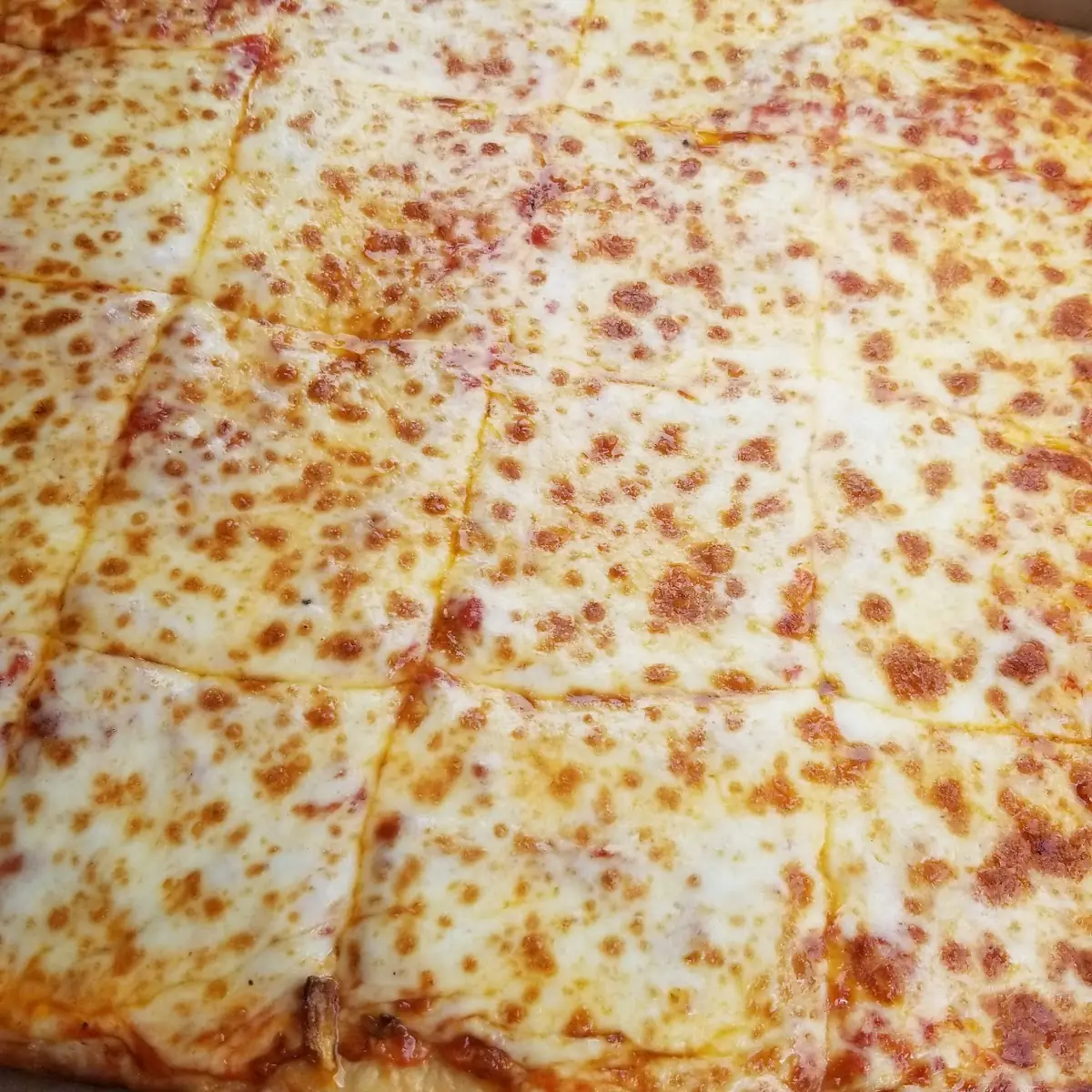 Cheese Pizza