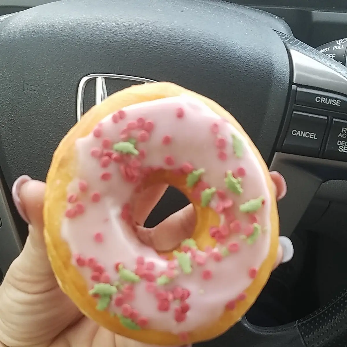 Strawberry Frosted Donut