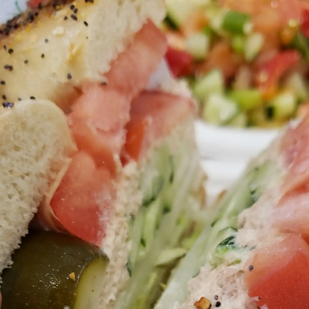 Everything Bagel Sandwich