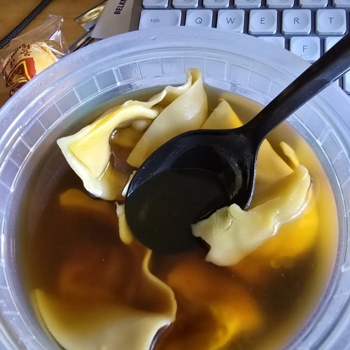 Wonton Soup