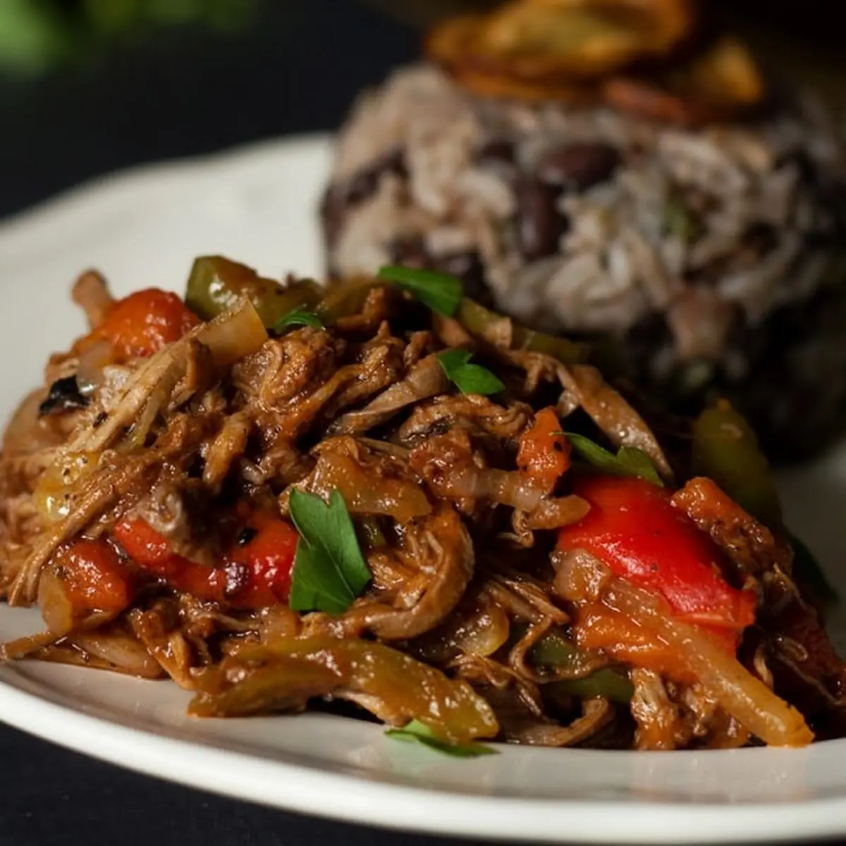 Ropa Vieja Cuban Shredded Beef