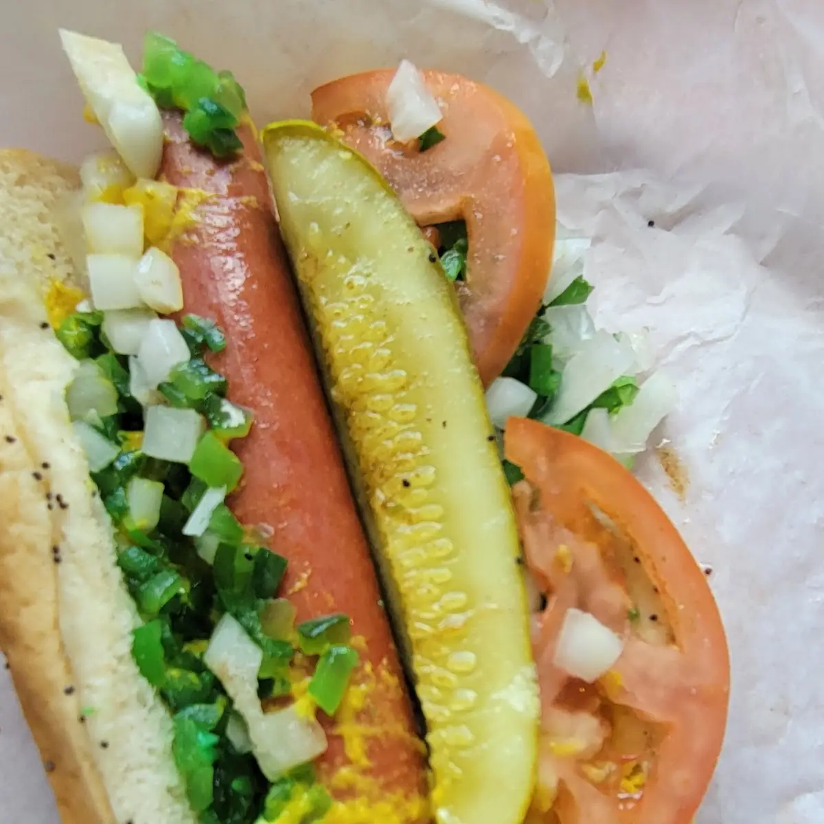 Chicago Dog