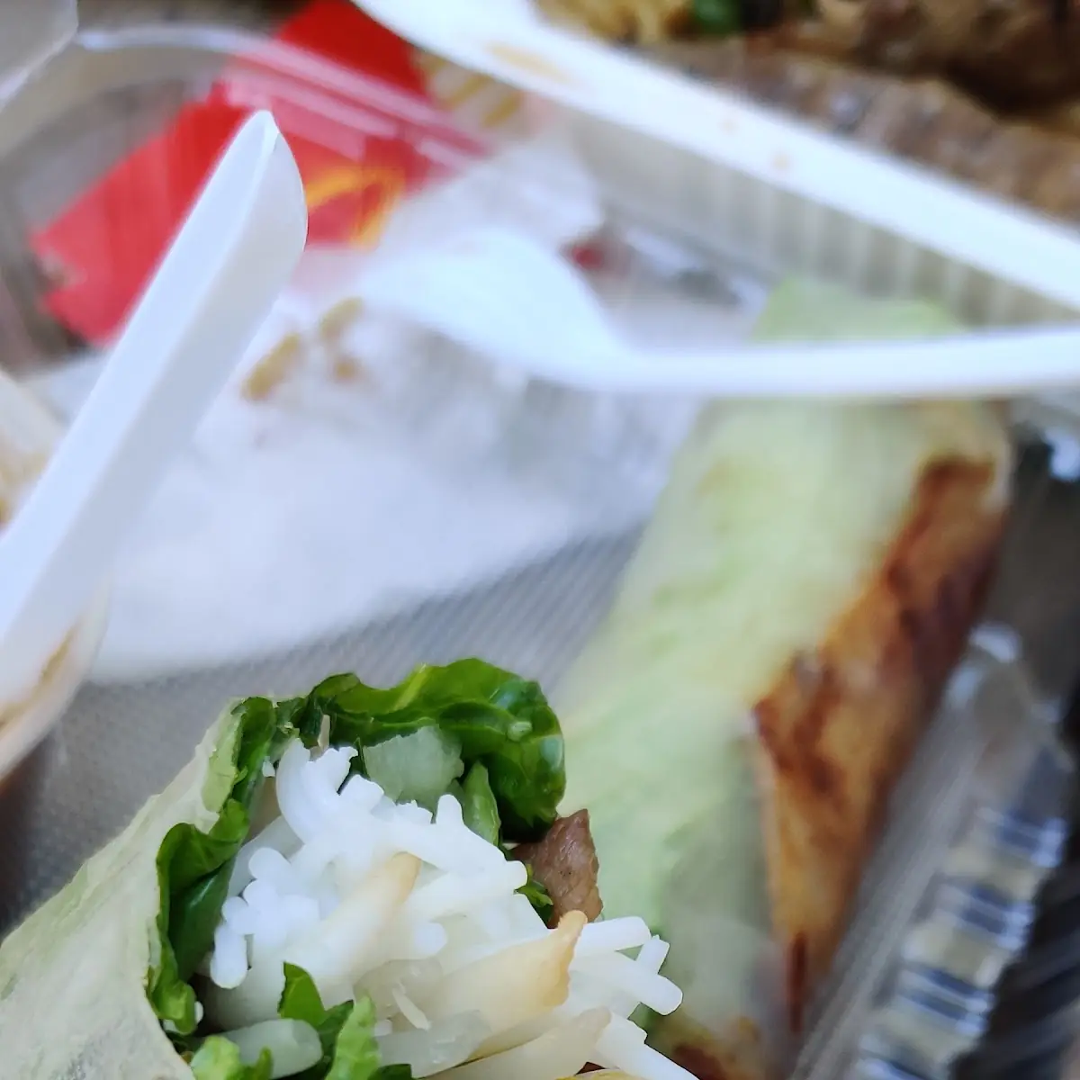 Charbroiled Pork Spring Rolls