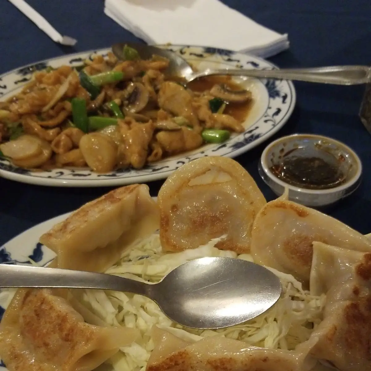 Fried Dumplings