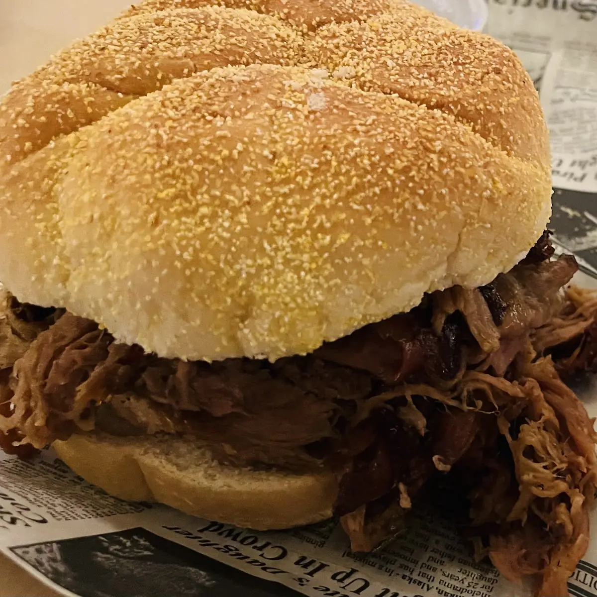 Pulled Pork with Coleslaw and Potato Salad