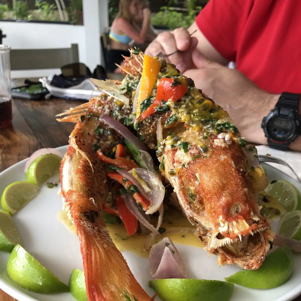 Red Snapper