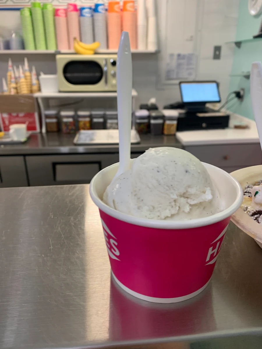 Berry Ice Cream Dairy Free