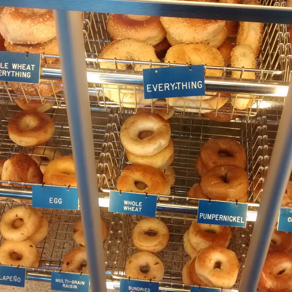 Doughnut