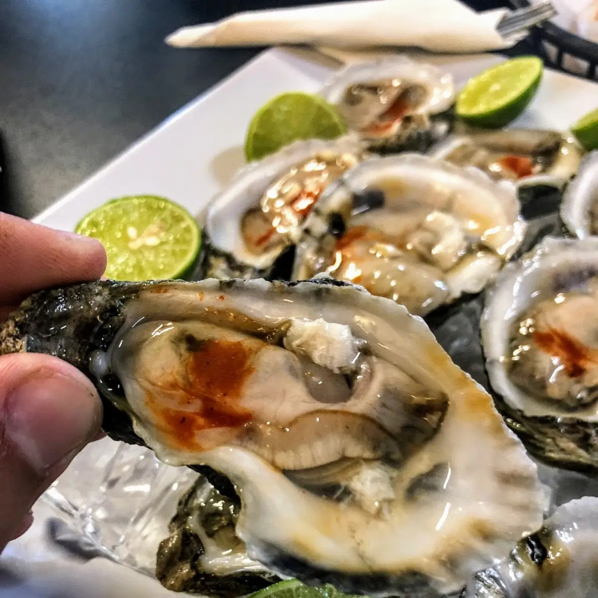 Oysters