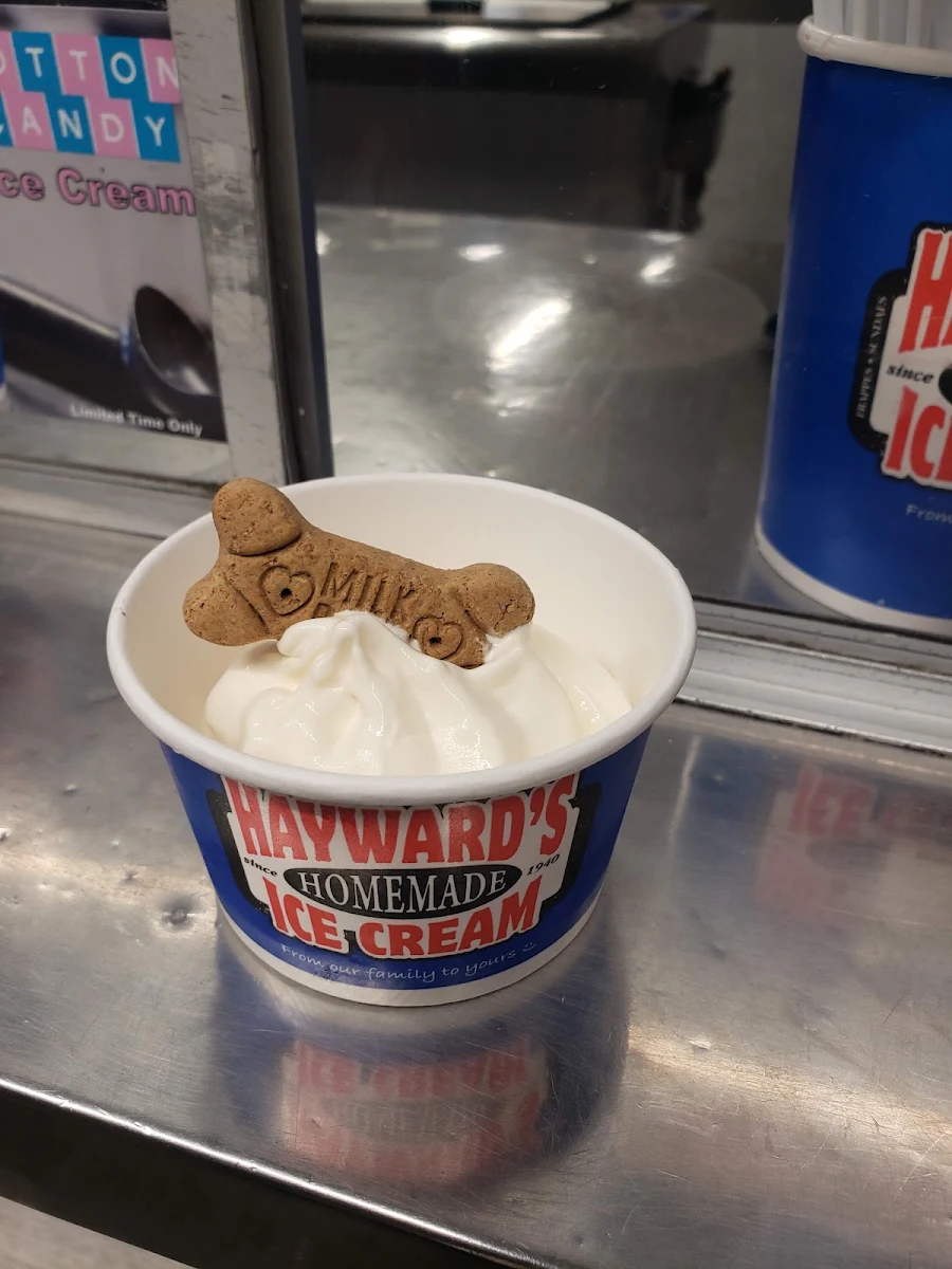 Doggie Vanilla Ice Cream