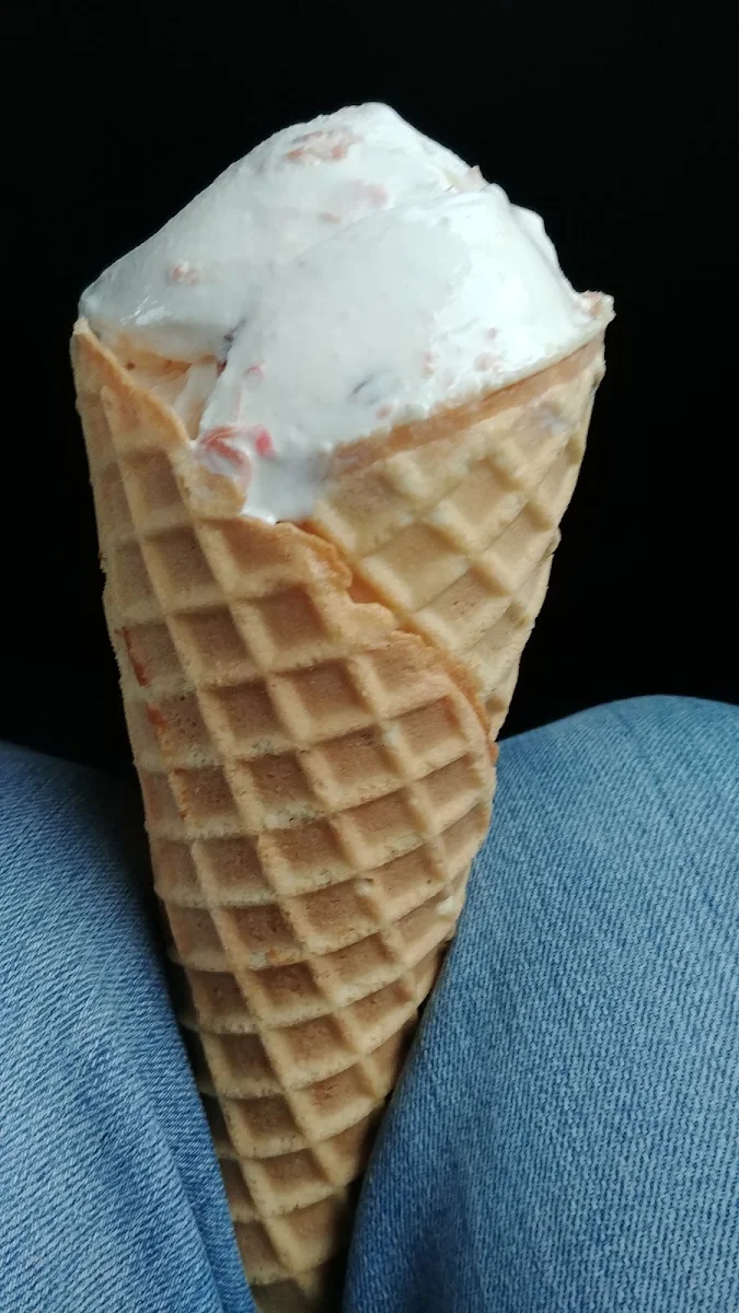 Homemade Waffle Cone
