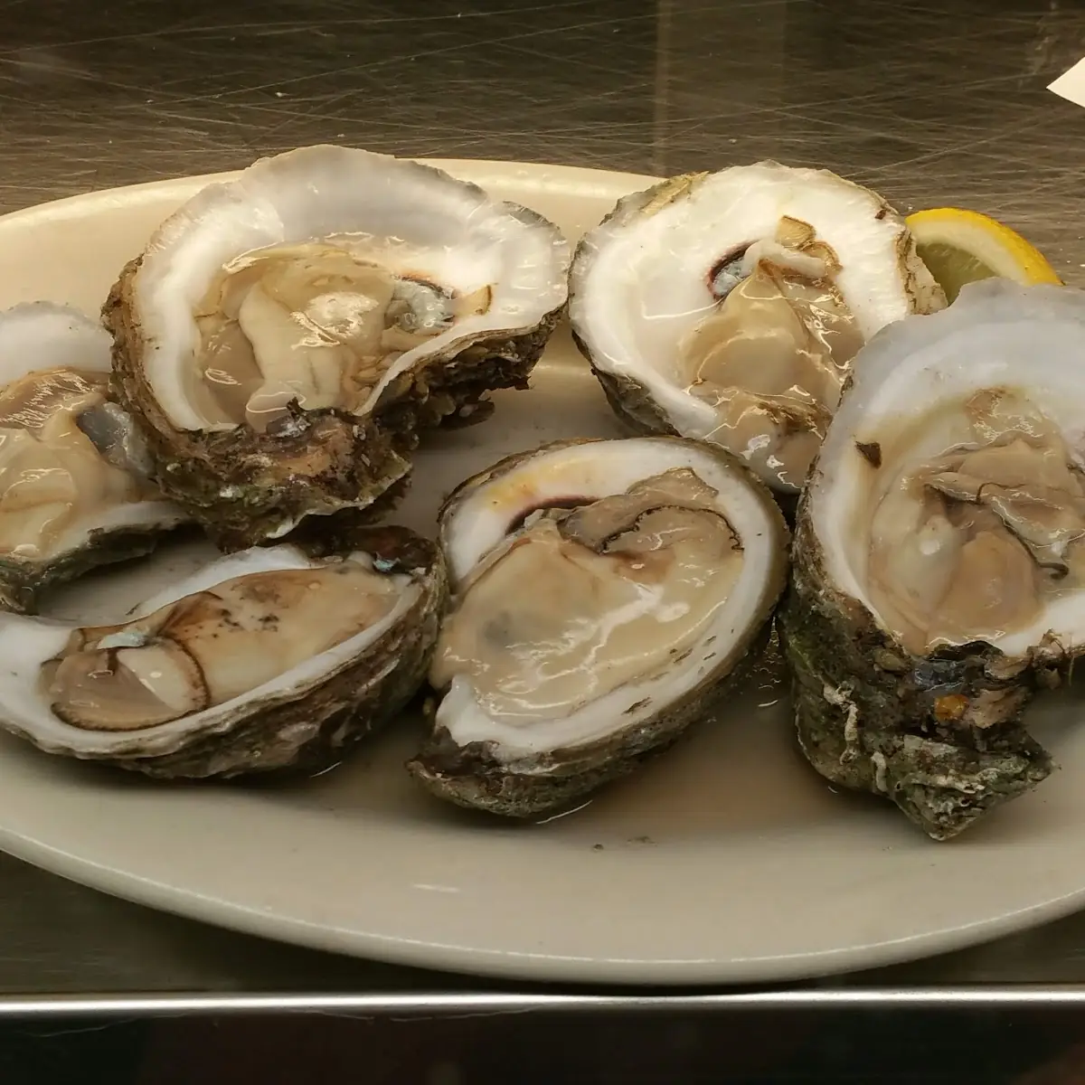 Raw Oysters