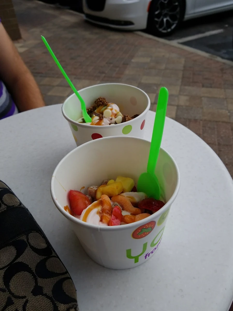 Frozen Yogurt