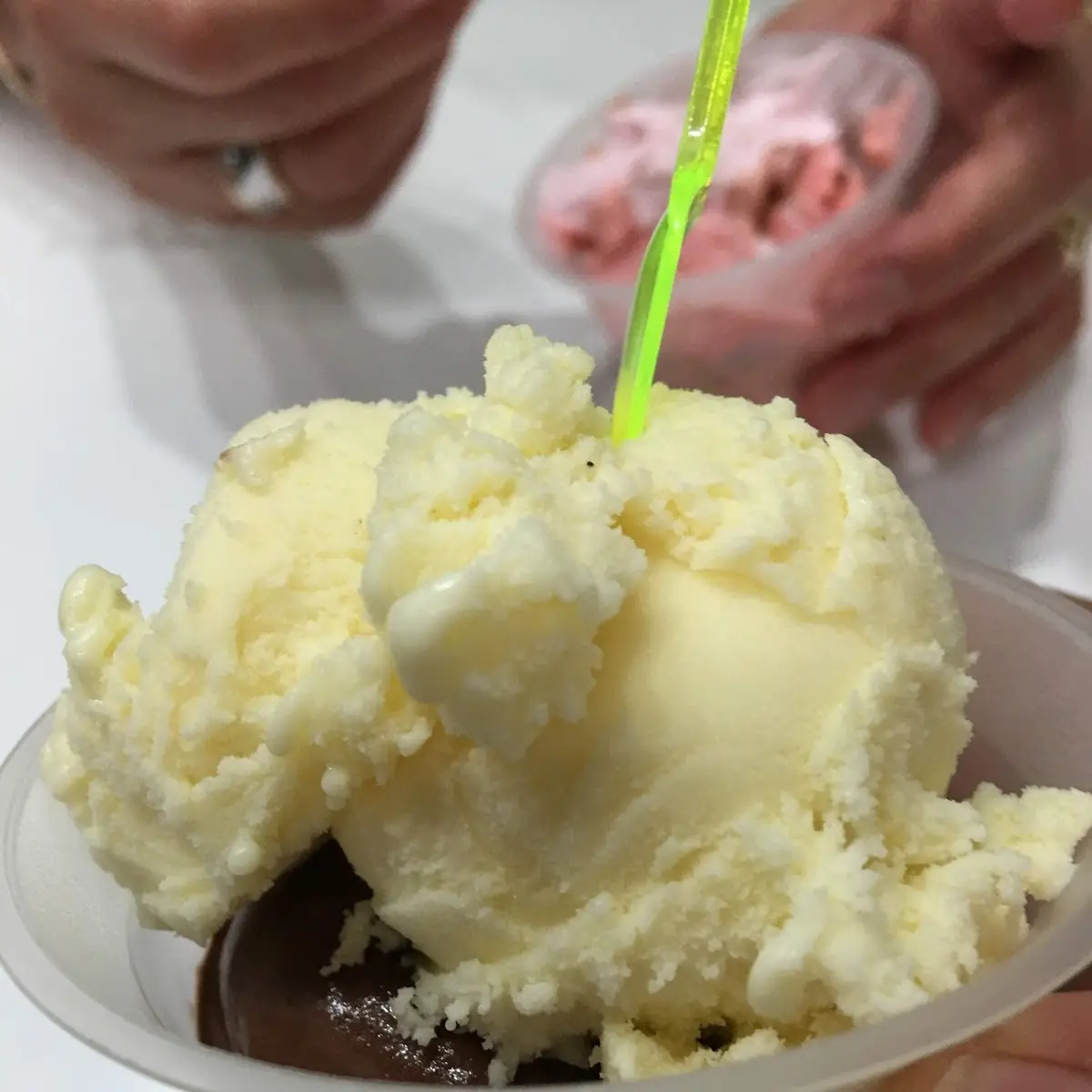 Dark Chocolate Sorbet