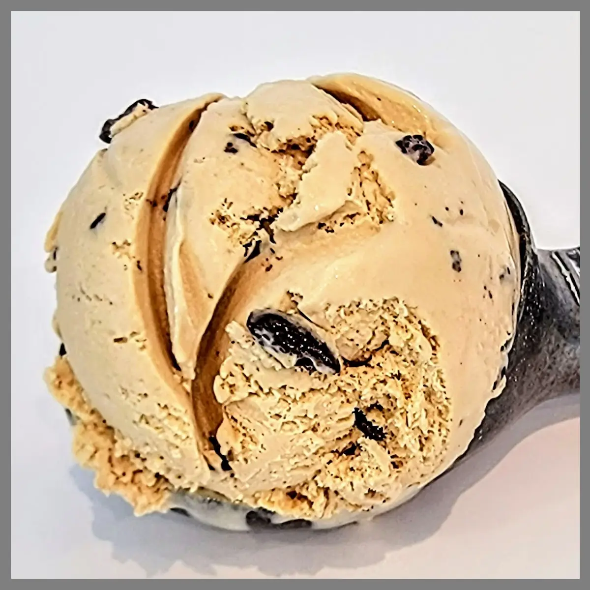 Pint of Chocolate Peanut Butter Chip Ice Cream