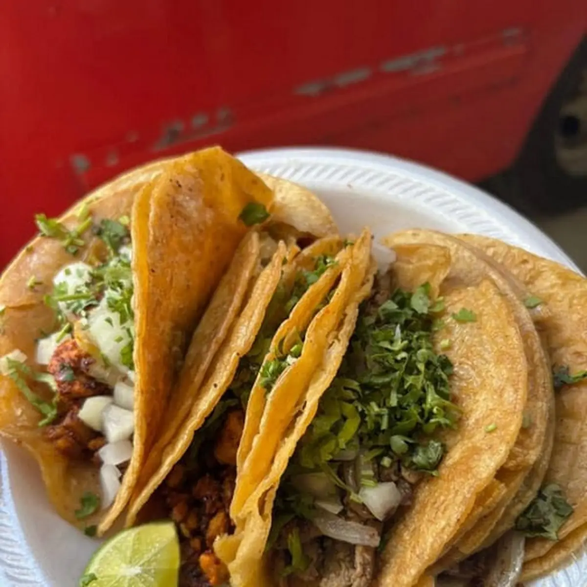 Tacos & Rice