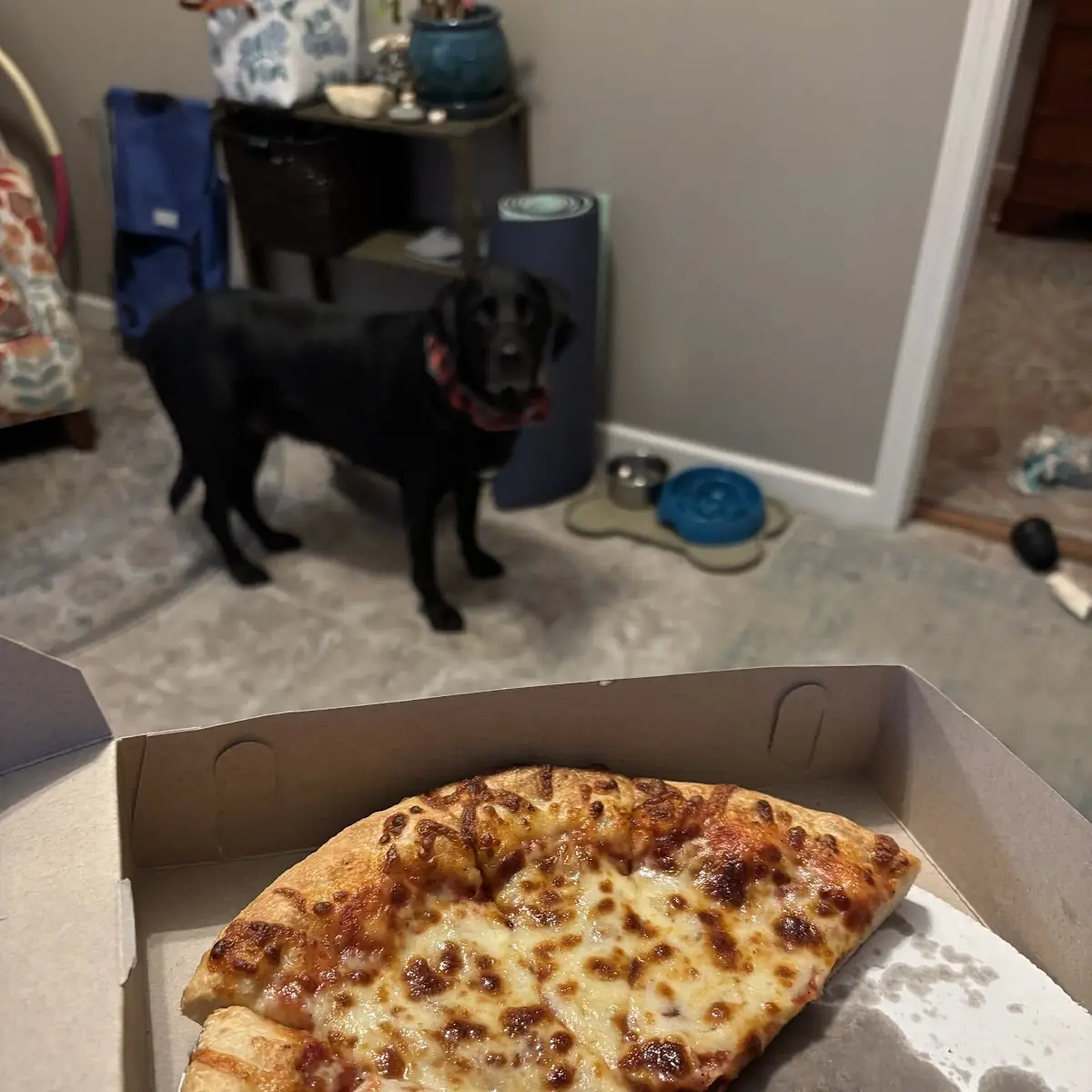 Cheese Pizza