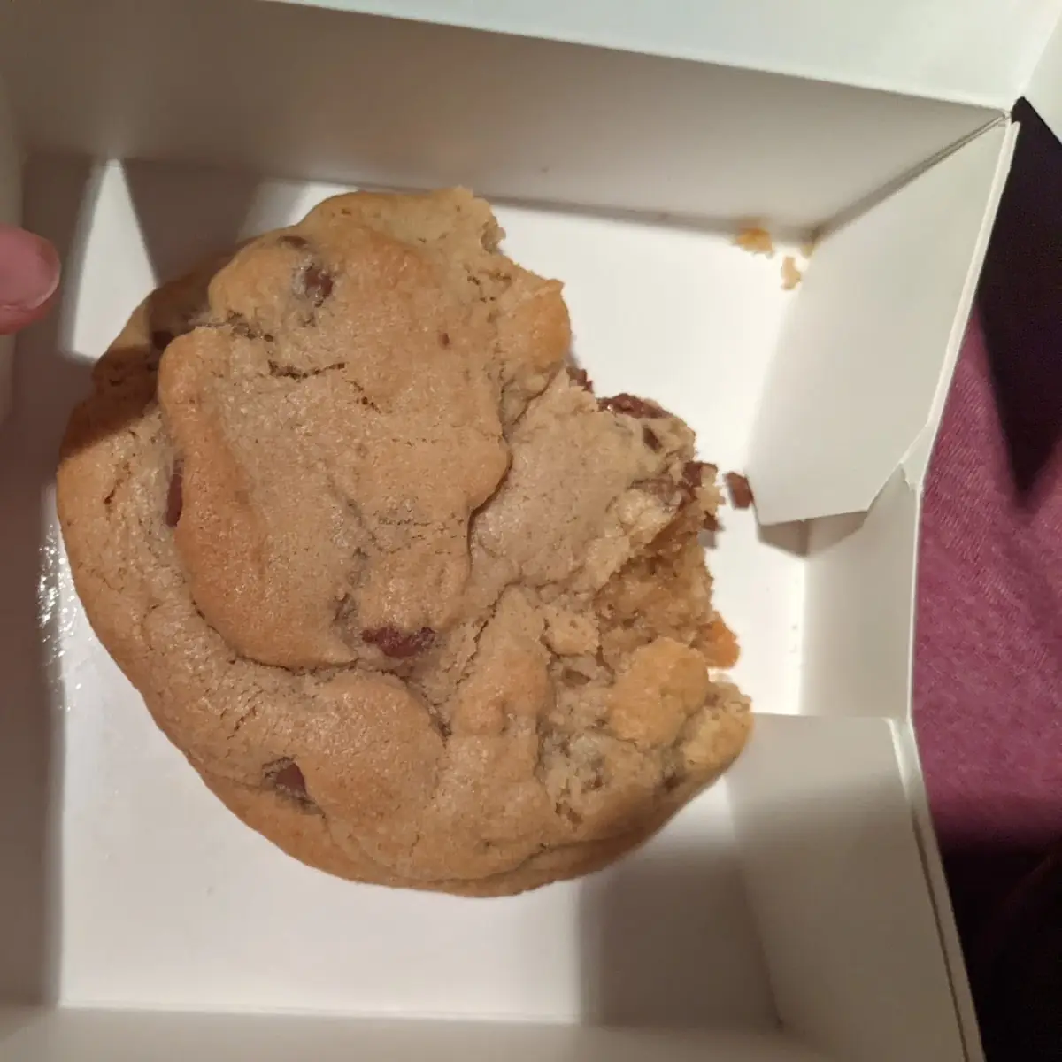Chocolate Chip Cookie