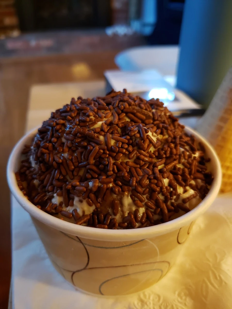Reeses Peanut Butter Cup Ice Cream with Chocolate Sprinkles