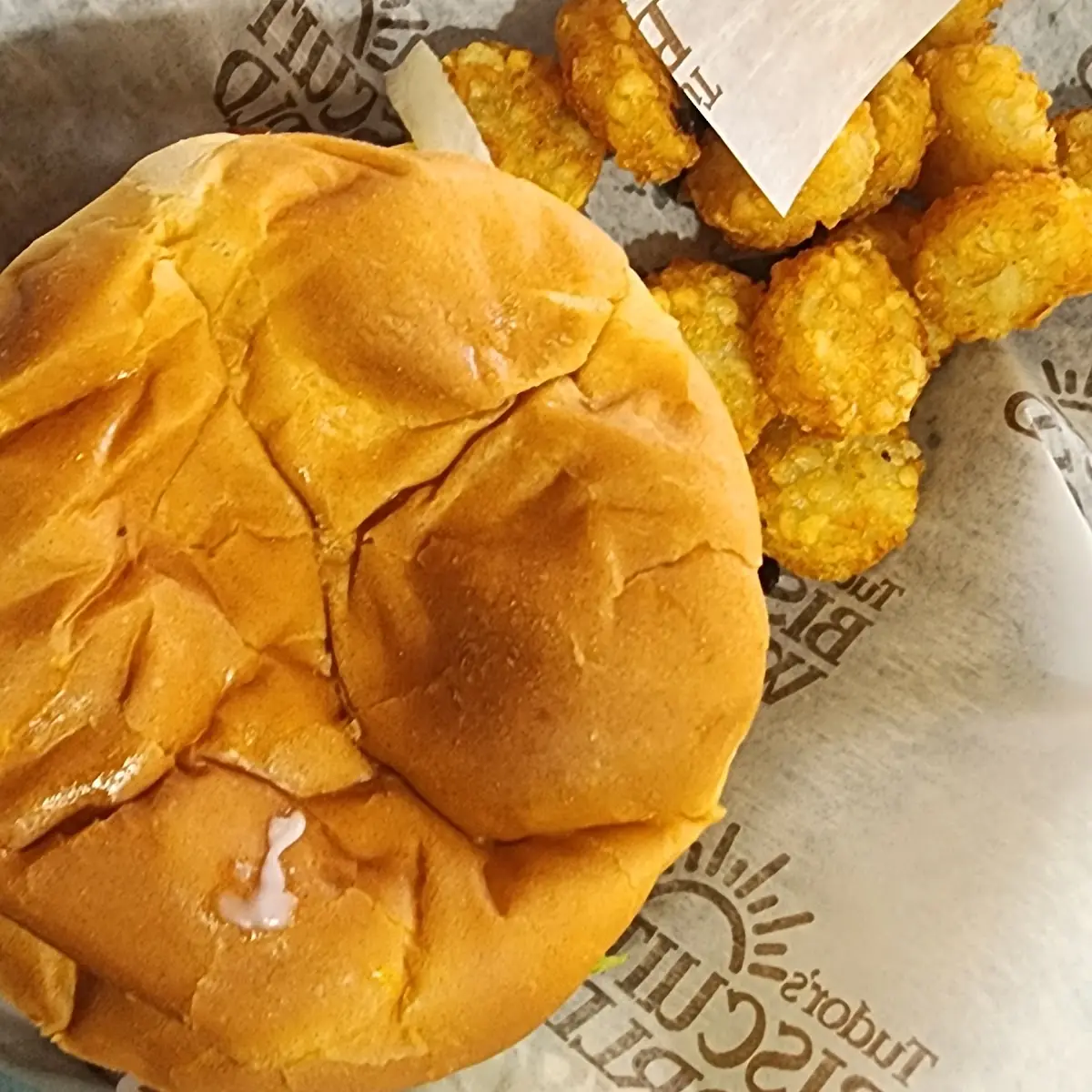 Double Cheeseburger with Tater Tots
