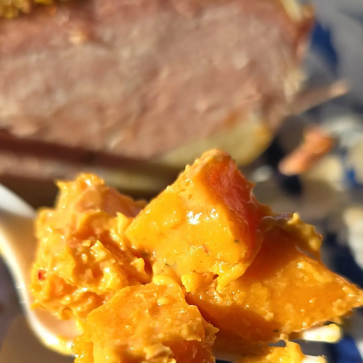 Sweet Potato