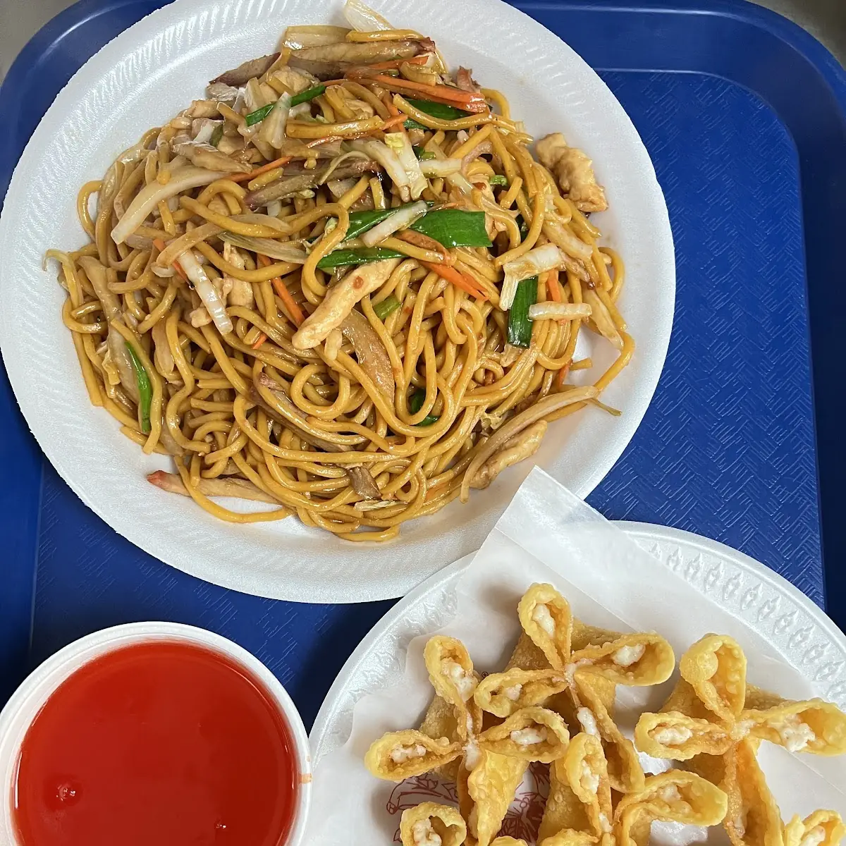 Chicken Lo Mein Combination Platter