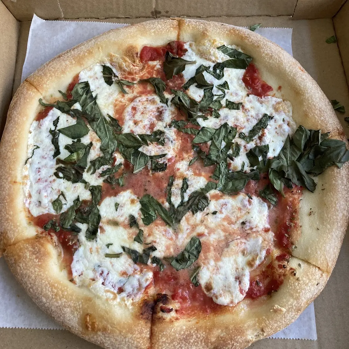 Pizza Margherita