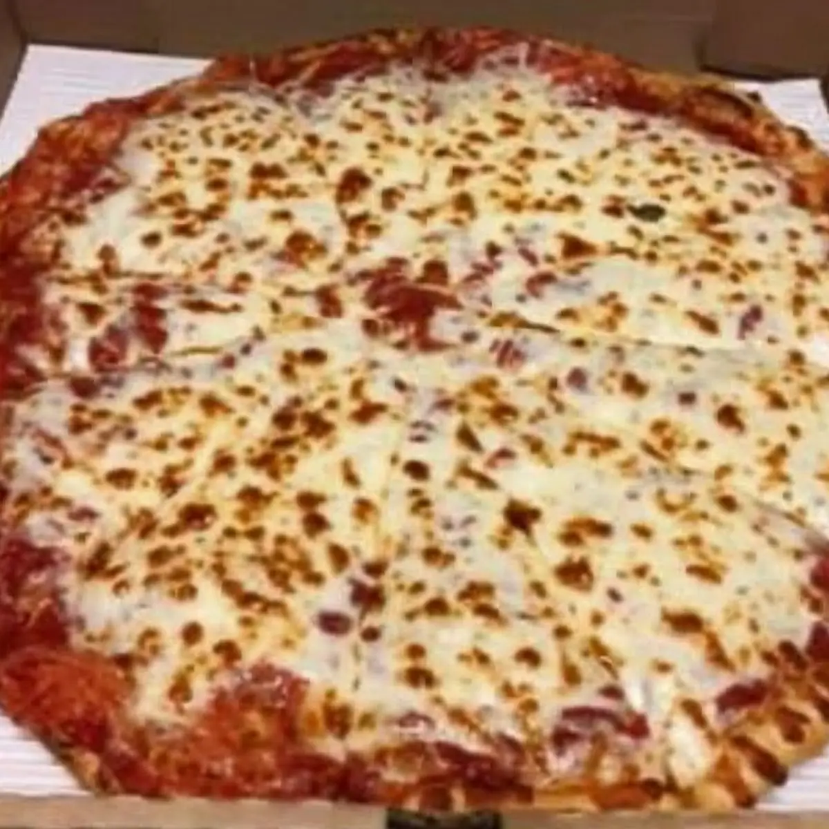 All Cheese Pizza