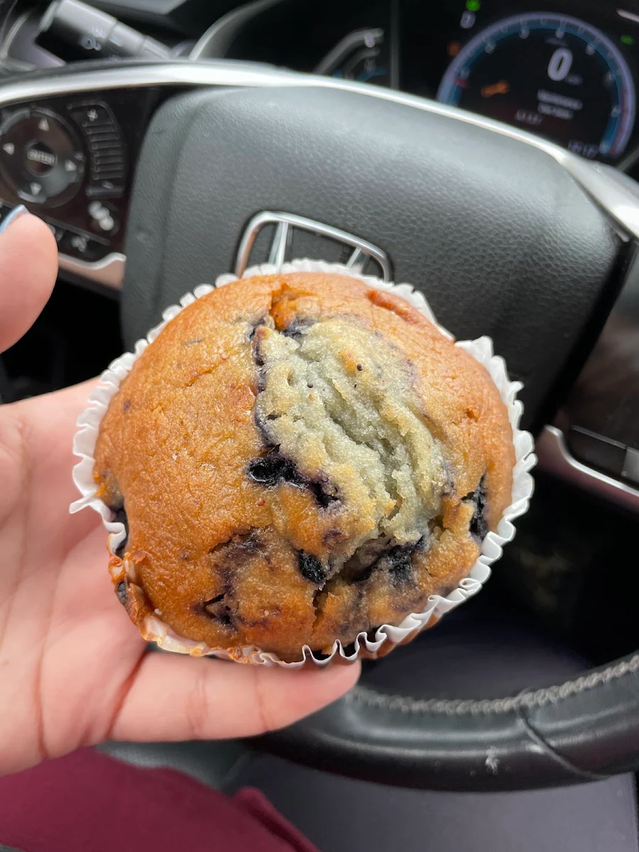 Blueberry Muffin