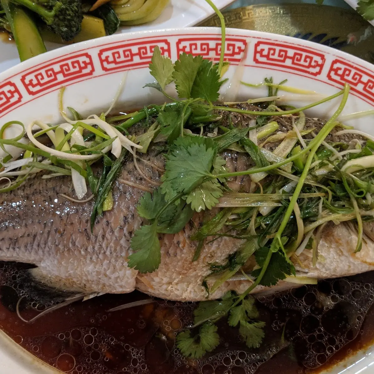 Steamed Striped Bass