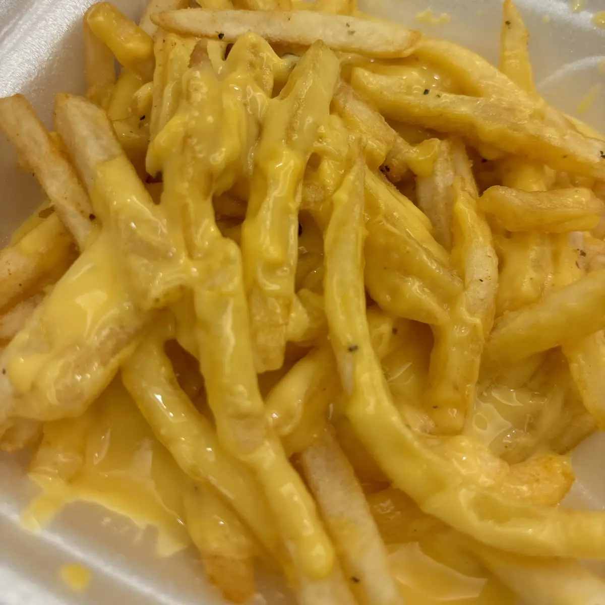Cheese Fries