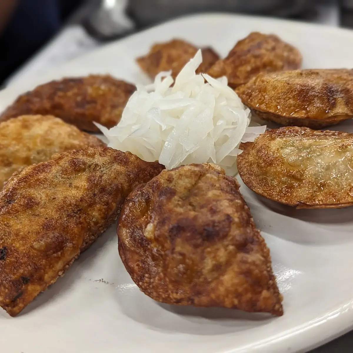 Deep Fried Dumplings