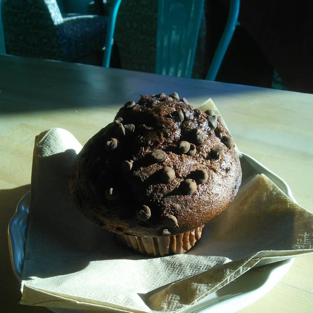 Chocolate Muffin