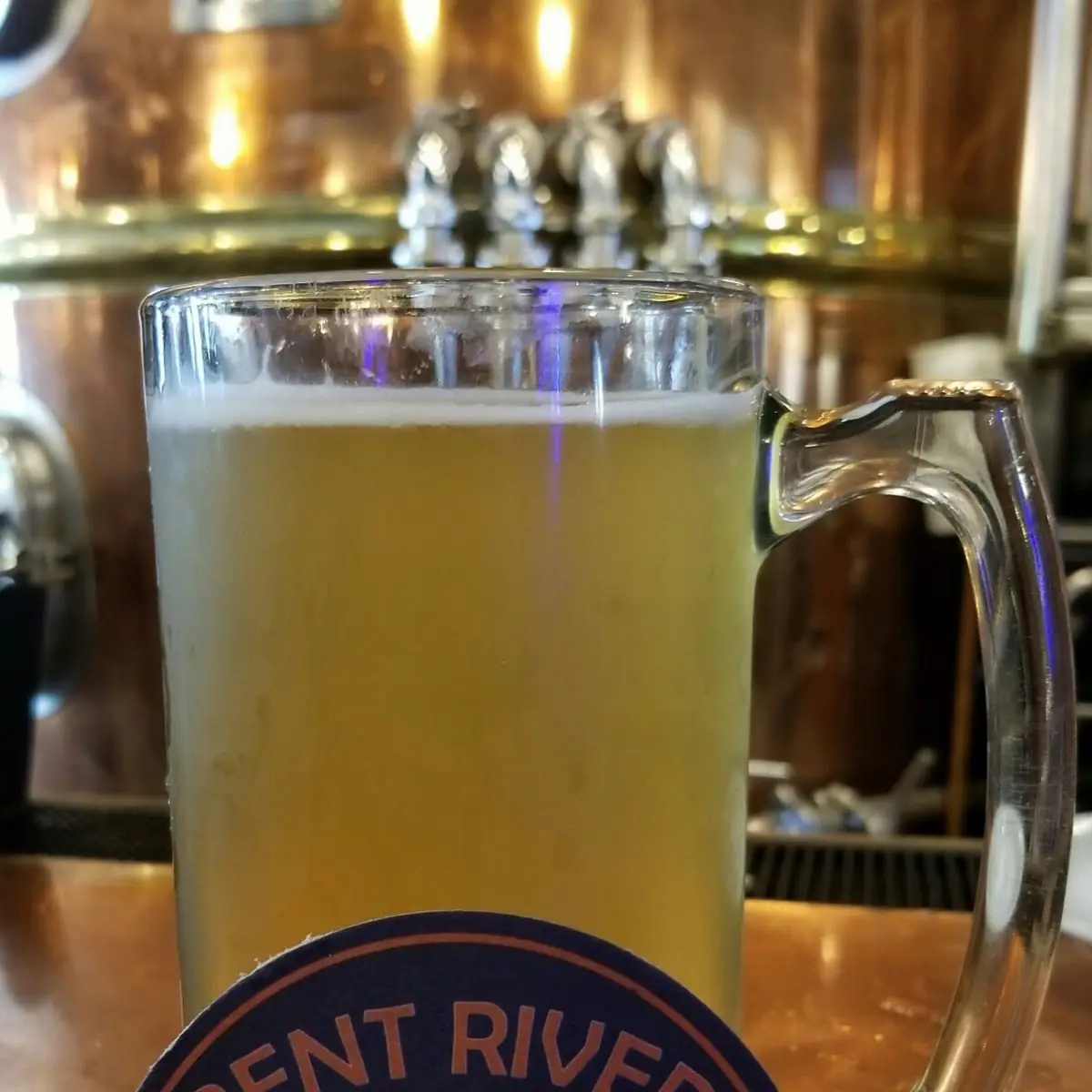 Key Lime Gose
