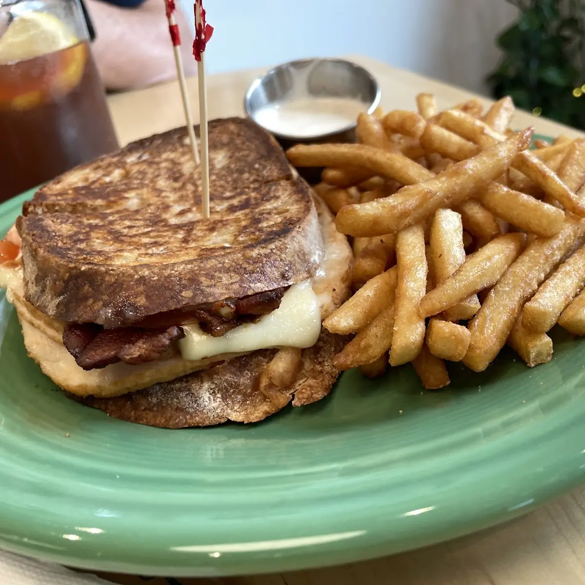 Turkey Panini