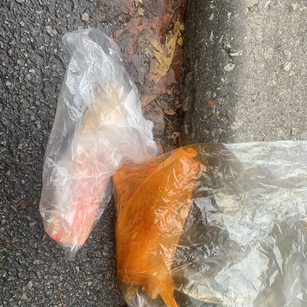 Two Tamales
