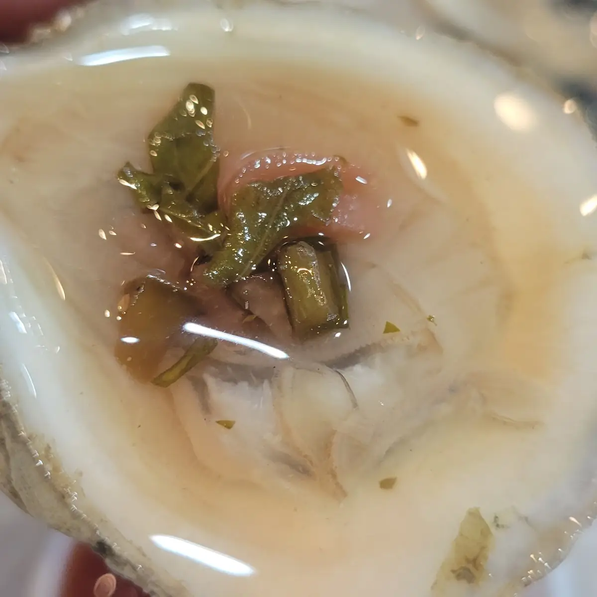 Raw Oysters