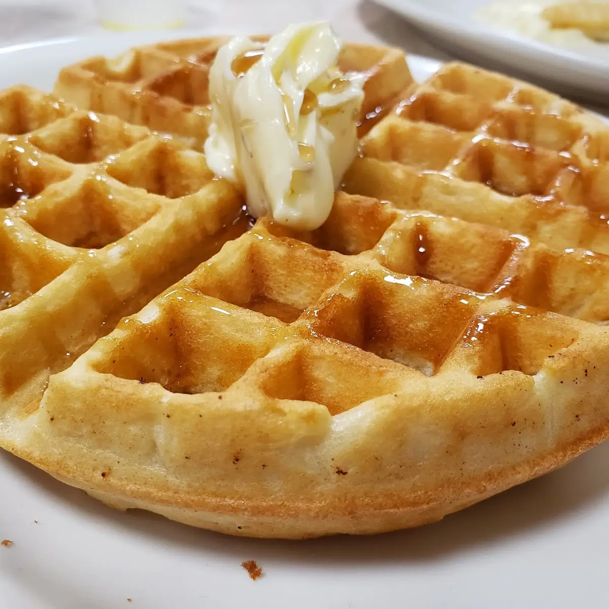 Belgian Waffle