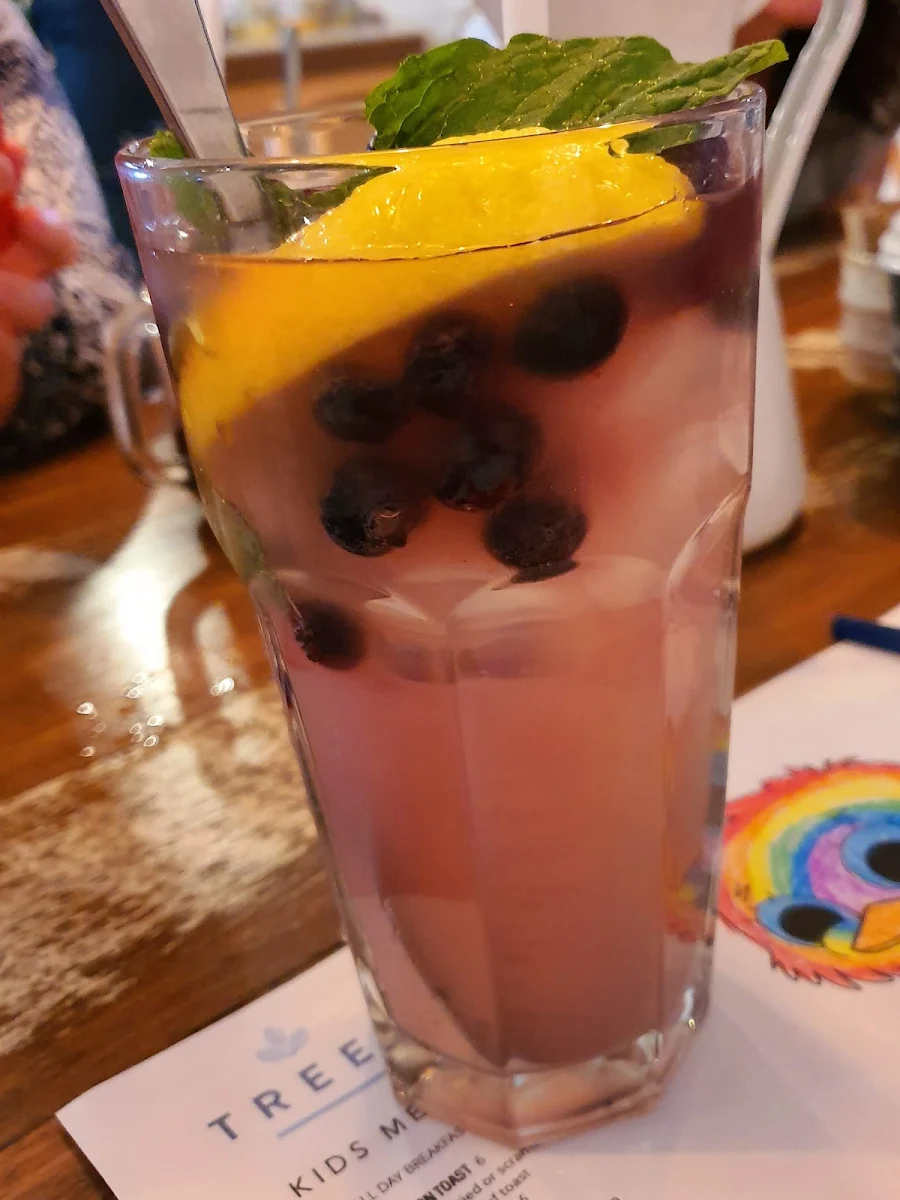 Lemonade, Cafe Treeo