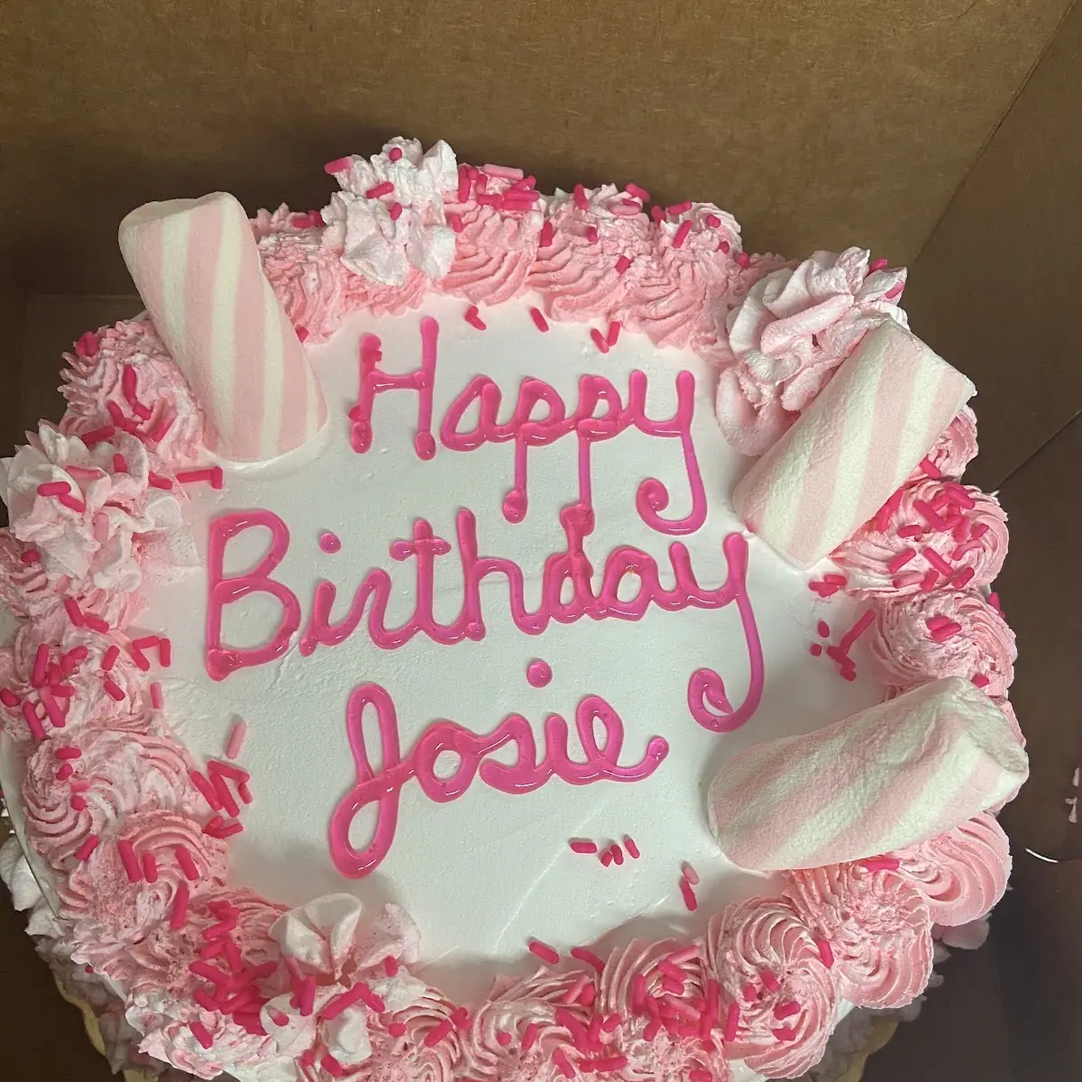 Sadie Birthday Cake