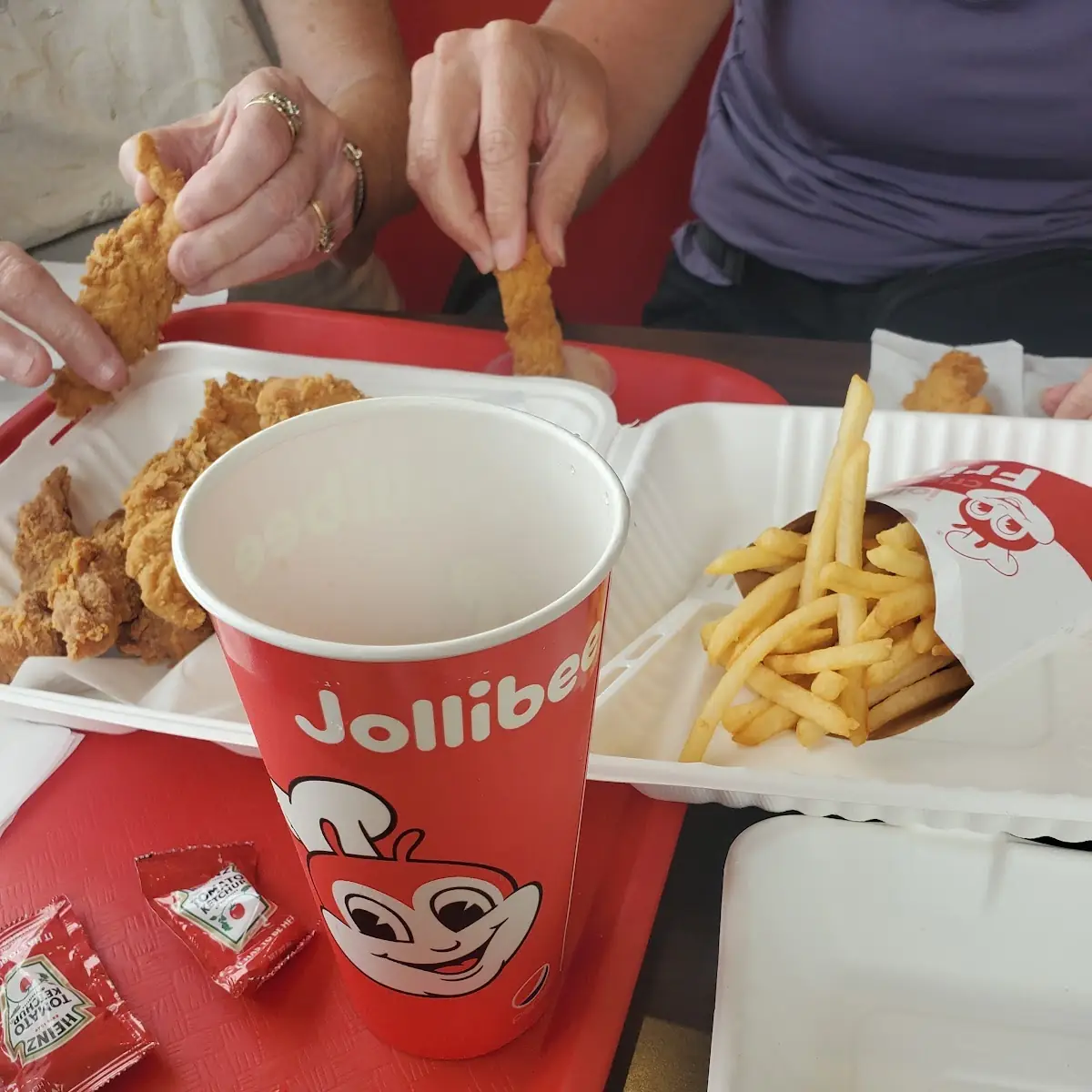 Fried Chicken with Gravy and Fries