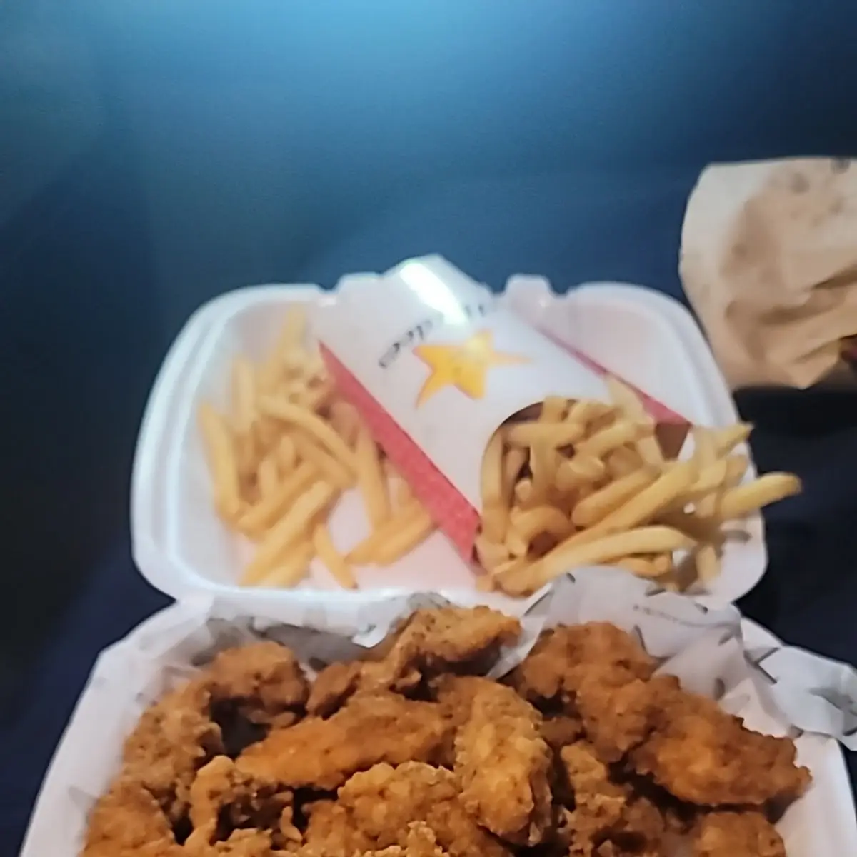 Chicken Tenders and Fries