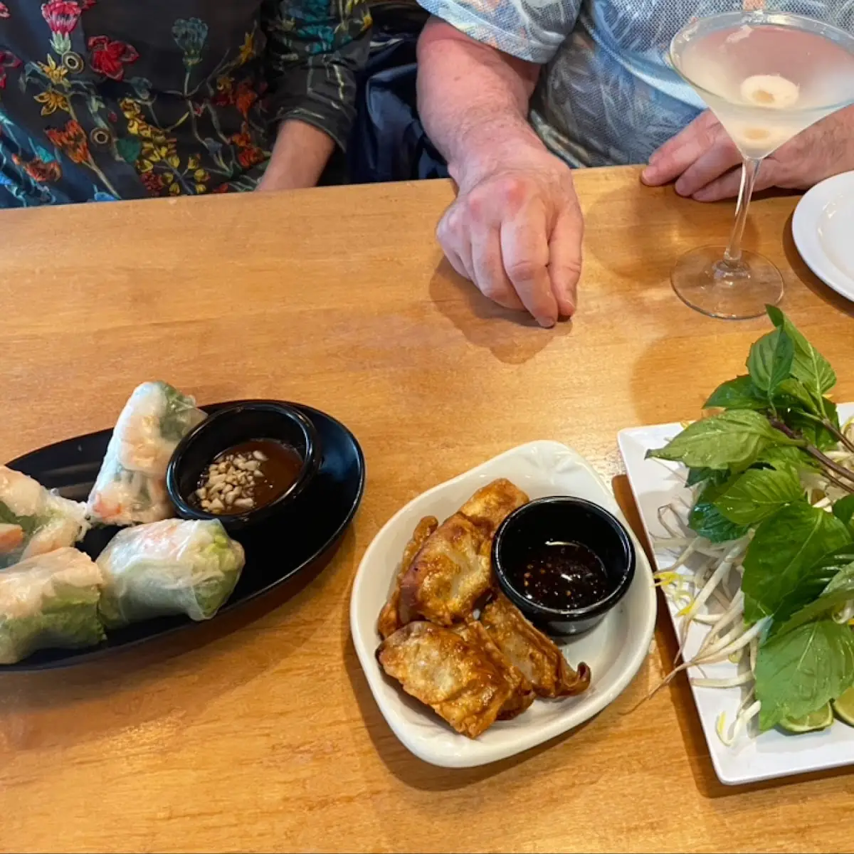 Spring Roll Dumplings