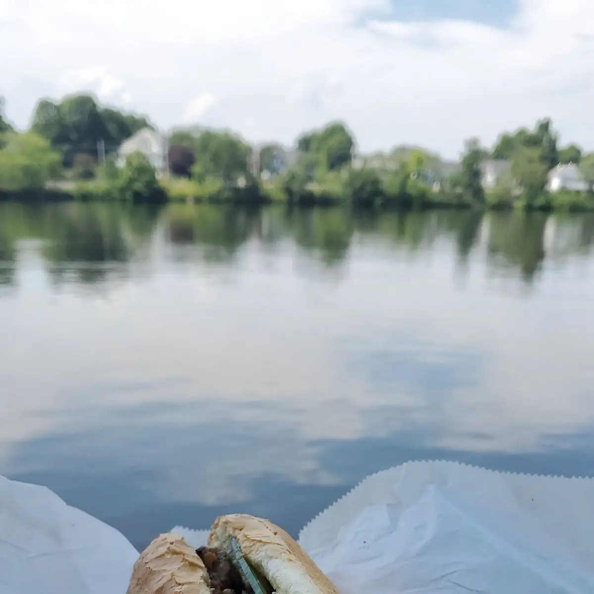 Pork Banh MI