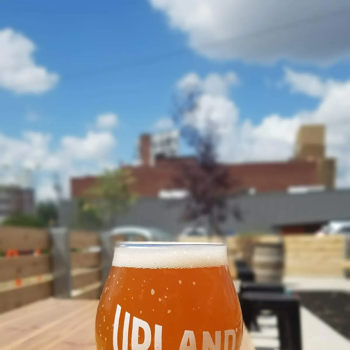 Craft Beer Flight