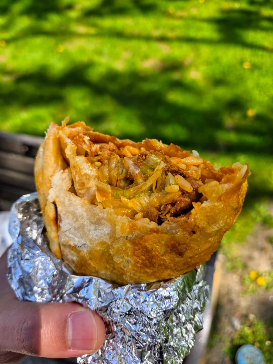 Birria Burrito