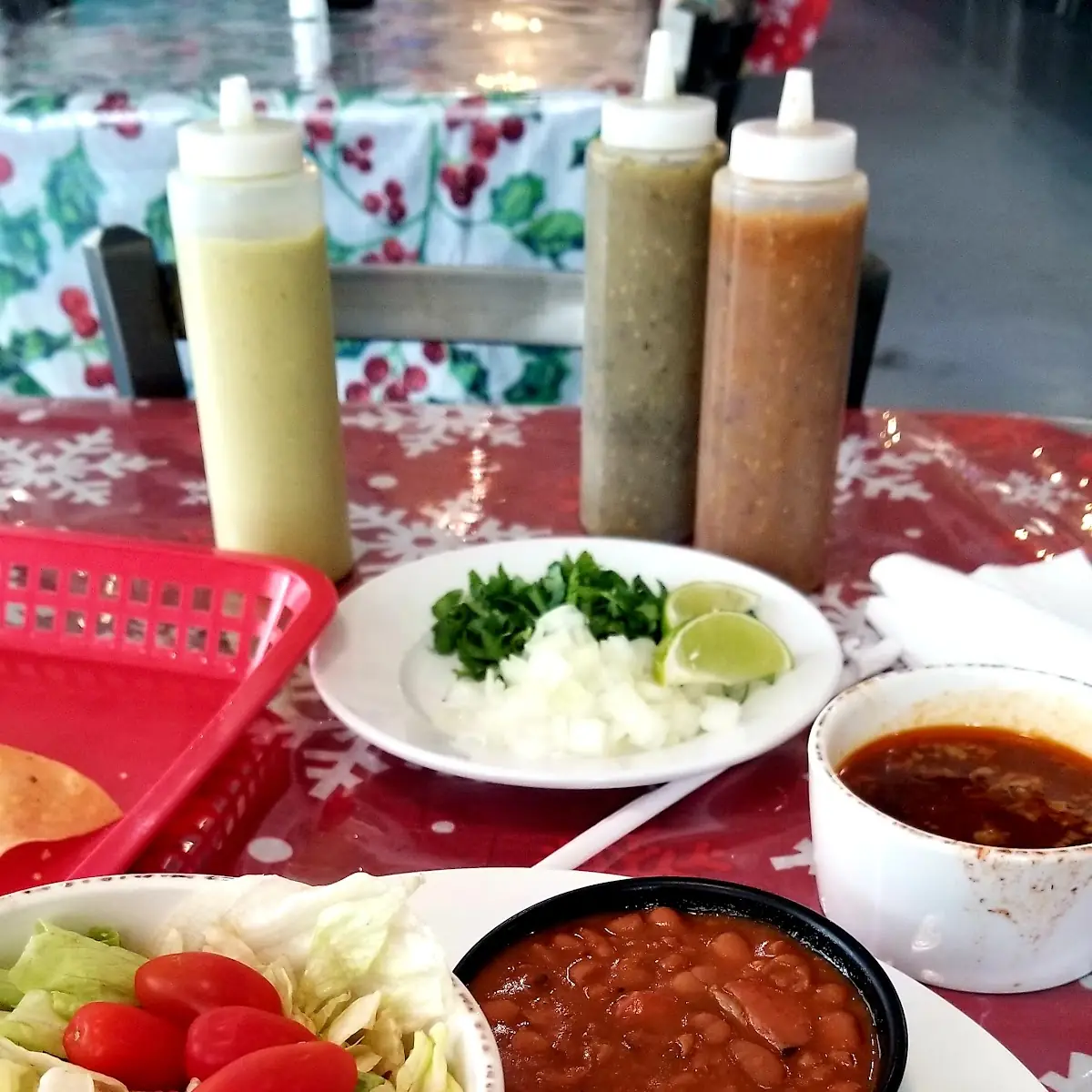 Birria Plate