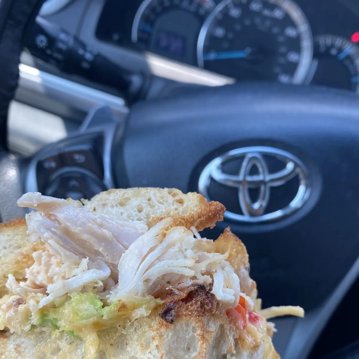 Chicken Avocado Melt